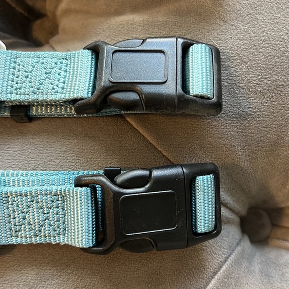 Blue Nylon Adjustable Dog Collar - Picture 2 of 3
